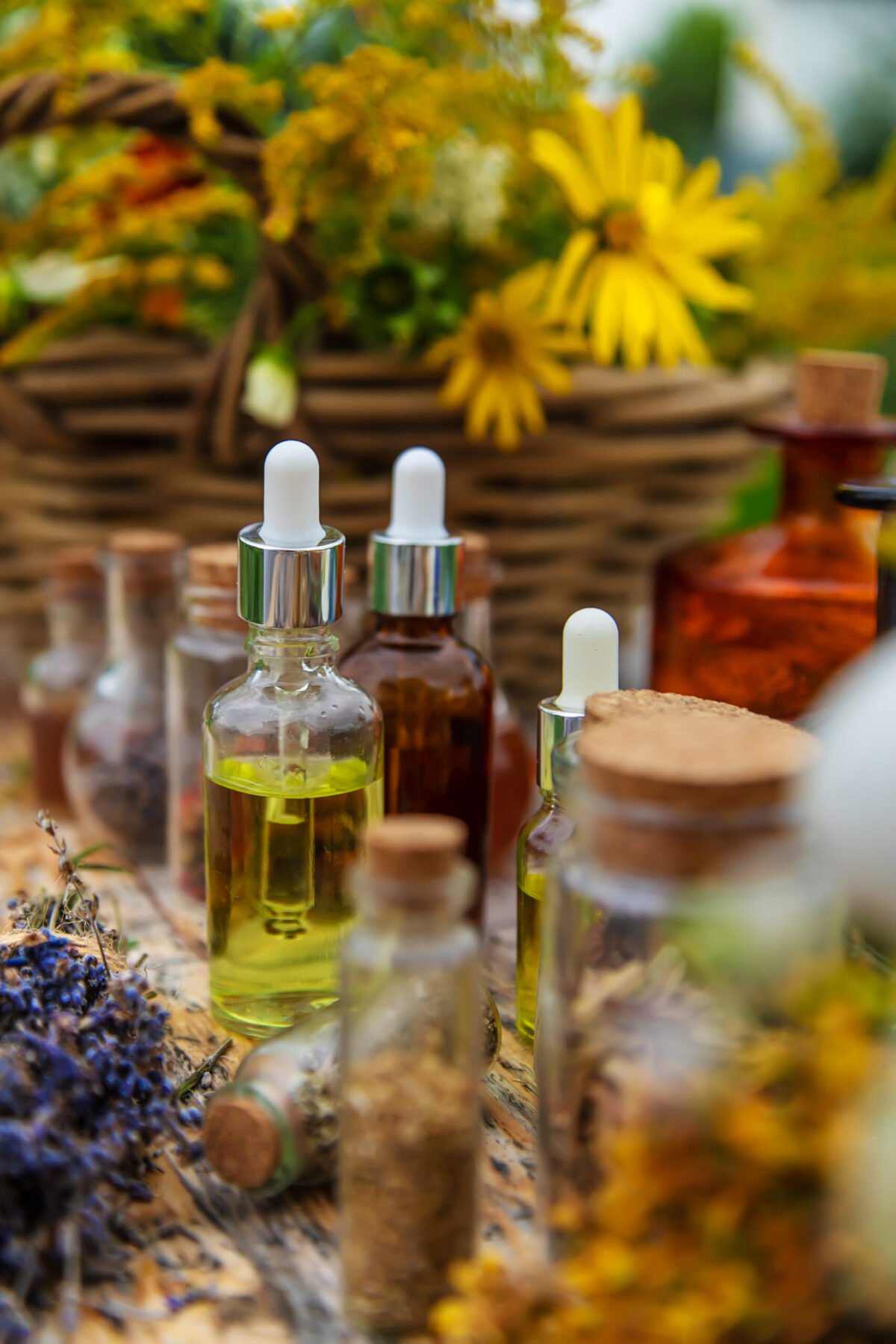 Asesoramiento Herbolario El Jardin Medicinal